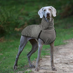 ROZKITCH Stripe Dog Winter Coat Soft Pullover Pajamas, Pet Windproof Warm Cold Weather Jacket Vest Cozy Jumpsuit Apparel Outfit Clothes for Walking Hiking Travel Sleep Stripe S