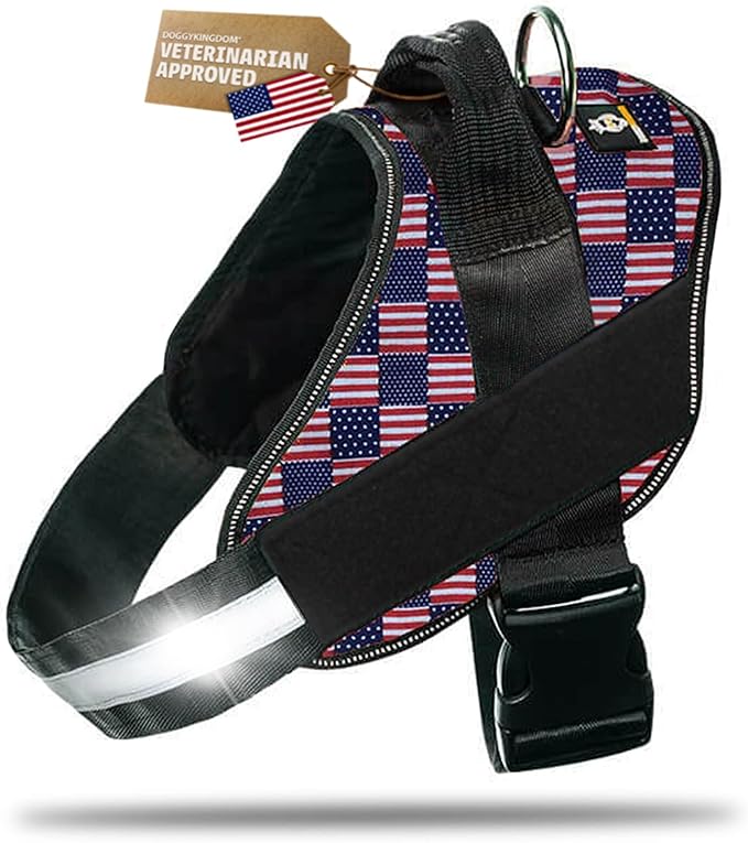 Dog Harness with Patch Panels, No Choke, Reflective, Adjustable, Soft Padded Dog Vest Harness with Easy Control Handle for Large Dogs, US Flag, L