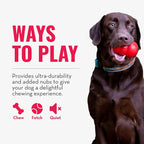KONG Ring - Natural Rubber Ring Toy for Healthy Chewing Habits - Chew Toy Supports Dog Dental Health - Dog Toy Supports Instincts During Playtime - for Small/Medium Dogs