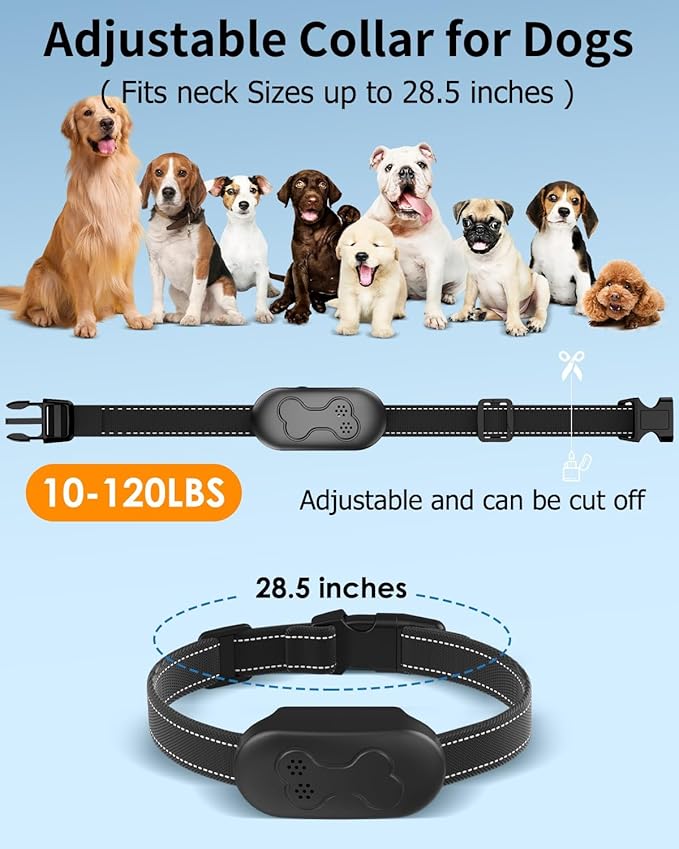 Dog Training Collar with Remote for Dogs, Waterproof IPX7 E Collar, Beep Vibration Modes, Safe Humane Training, 2000FT Range, Rechargeable Battery, for Small Medium Large Dogs 10–120 lbs (Black)