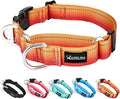 Martingale Collar for Dogs with UTX Buckle Reflective Ombre Nylon Dog Collar for No Pull Training Walking