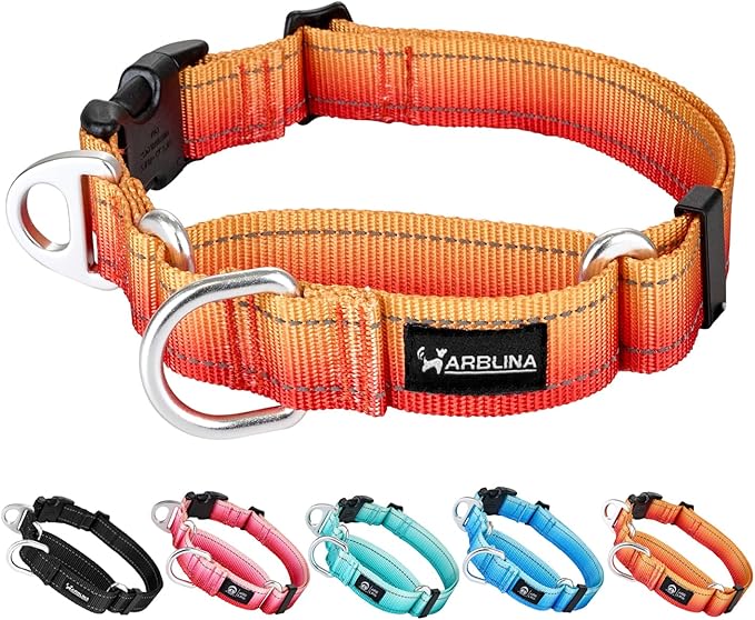 Martingale Collar for Dogs with UTX Buckle Reflective Ombre Nylon Dog Collar for No Pull Training Walking