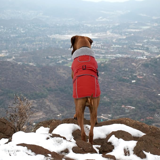 Lelepet Warm Dog Coat Waterproof Dog Jacket Reflective Fleece Vest with Adjustable Buckle Hook & Loop, Windproof Winter Jacket Dogs Coats for Small Medium Large Dogs, Red, XL