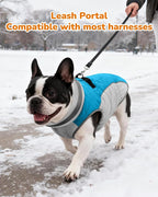 Dog Winter Coat for Small Dogs, Adjustable Puppy Warm Jackets in Cold Weather, Reflective Pet Fleece Vest with External Attachment Points, ZippeBlue Cold-Weather Dog Winter Clothes, XS Blue