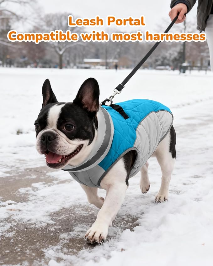 Dog Winter Coat for Small Dogs, Adjustable Puppy Warm Jackets in Cold Weather, Reflective Pet Fleece Vest with External Attachment Points, ZippeBlue Cold-Weather Dog Winter Clothes, S Blue
