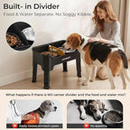 URPOWER Mess Proof Elevated Dog Bowls, High Wall Splash Guard Design, 4 Height Adjustable Raised Bowl Stand, 2 Stainless Steel Bowls, Non-Slip Food Water Set for Small Medium Large Dogs