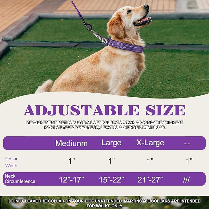 Reflective Martingale Dog Collar - No-Pull Adjustable Training Collar with Soft Nylon & Chain, Shark Pattern for Medium, Large & XL Dogs (Shark L)