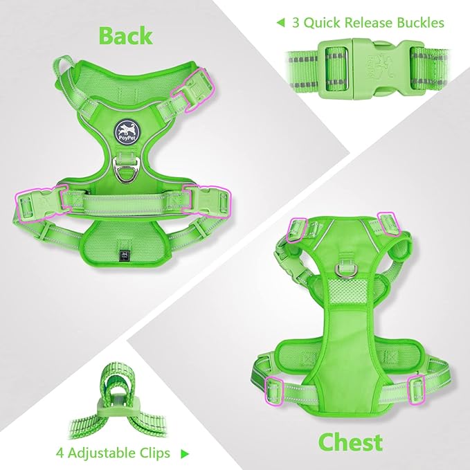 PoyPet No Pull Dog Harness, No Choke Reflective Dog Vest, Adjustable Pet Harnesses with 2 Leash Attachments with Easy Control Padded Handle for Small Medium Large Dogs(Green Matching Trim,XL)