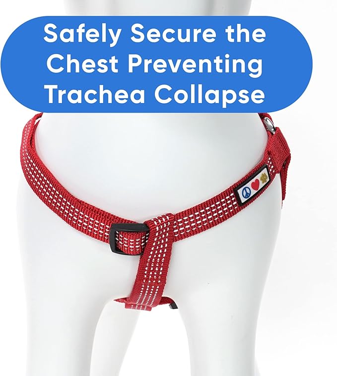 Pawtitas Reflective Step-in Dog Harness – Adjustable No-Pull Vest for Puppies to Seniors, Safe & Comfortable, M Red
