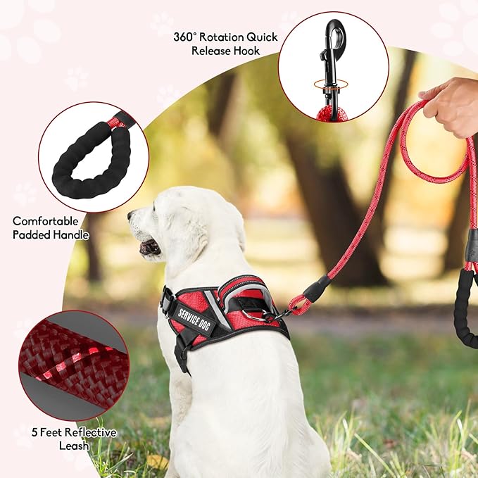 Service Dog Vest Harness and Leash Set, Animire in Training Dog Harness with 10 Dog Patches, Reflective Dog Leash with Soft Padded Handle for Small, Medium, Large, and Extra-Large Dogs (RED,L)