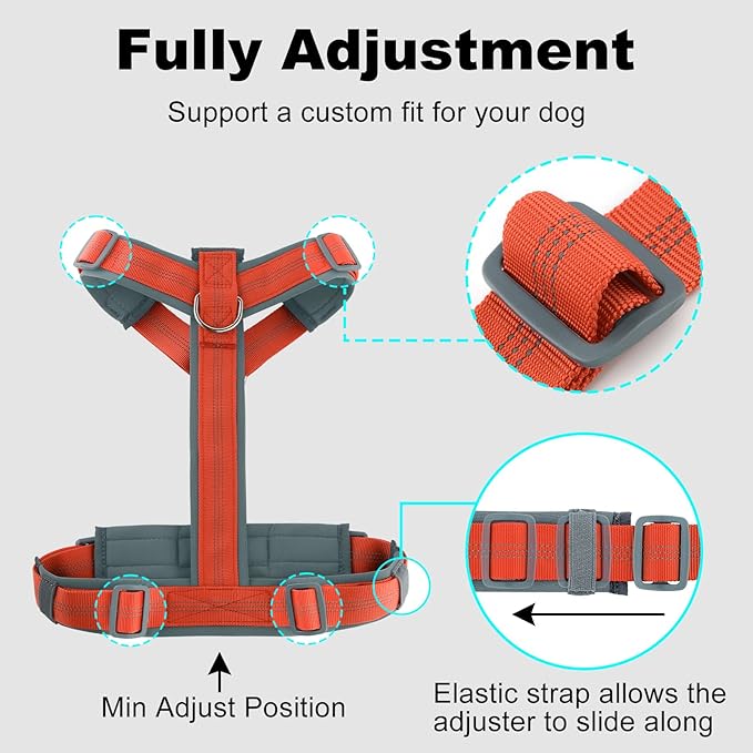 Plutus Pet No Pull Dog Harness, Adjustable Nylon Harness with Soft Padding, Reflective and Heavy Duty Dog Harness for Small, Medium, Large Dogs(Orange, XS)