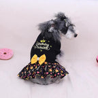 CuteBone Core Spun Birthday Dog Sweater Dress for Small Dogs Girl, Turtleneck Embroidery Medium Dog Sweater with Leash Hole, Dog Coat for Chihuahua Yorkie Teacup DS105L