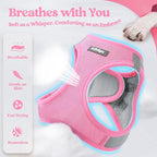 rabbitgoo Dog Harness Small Medium Sized and Leash Set, Step in Soft Light Puppy Vest, Breathable Mesh Pet Harness, Reflective for Safe Easy Walking, Pink & Gray L