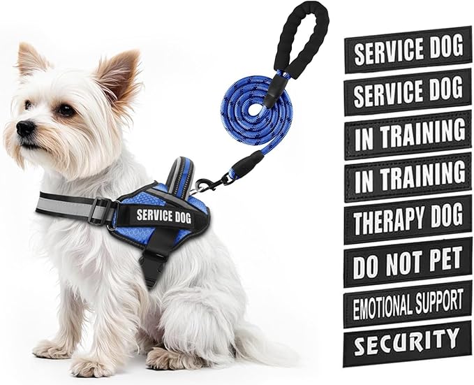 Service Dog Vest Harness and Leash Set, Animire in Training Dog Harness with 10 Dog Patches, Reflective Dog Leash with Soft Padded Handle for Small, Medium, Large, and Extra-Large Dogs