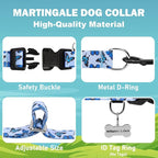 Martingale Collar for Dogs with Buckle Nylon Slip No Pull Training Dog Collars (Blue Butterfly, XLarge)