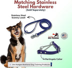 Martingale Collar for Dogs, Biothane, Stainless Steel Hardware, No Pull, Made in The USA, Professional Grade, Medium, Purple