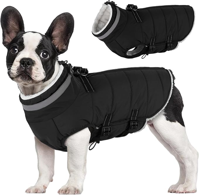 Mklhgty Medium Dog Coat with Harness Built-in, Waterproof Reflective Fleece Lined - Warm Windproof Winter Jacket with Back Zipper, Cold Weather Snow Dog Coats - Black - M