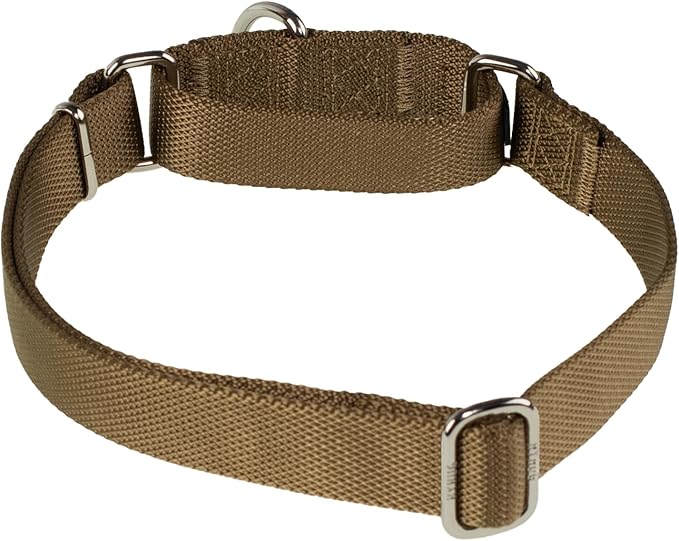 Hyhug Martingale Dog Collar Medium Yellow |Escape - Proof Heavy Duty Nylon Durable No Slip, Ideal for Training & Daily Walks