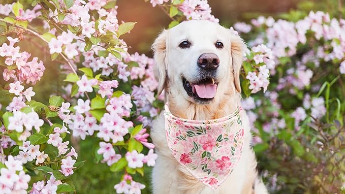 Lionet Paws Spring Dog Bandanas 2 Pack, Pink Washable Triangle Bibs Scarf Kerchief, Adjustable Flower Holiday Scarves for Small Medium Dogs