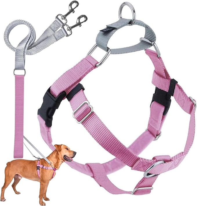 2 Hounds Design Freedom No Pull Dog Harness, Adjustable Harness and Leash Set, Easy Walking & Comfortable Control, Fits Small, Medium & Large Dogs, Solid Colors, Made in USA, 5/8" XS, Rose