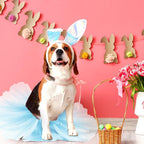 2 Pcs Dog Crown Headband Dog Tutu Dress Set Crystal Rhinestone Tiara Crown Tutu Skirt Pet Dress Costume for Puppy Birthday Party Wedding Photo Prop Costume(Blue,Large)