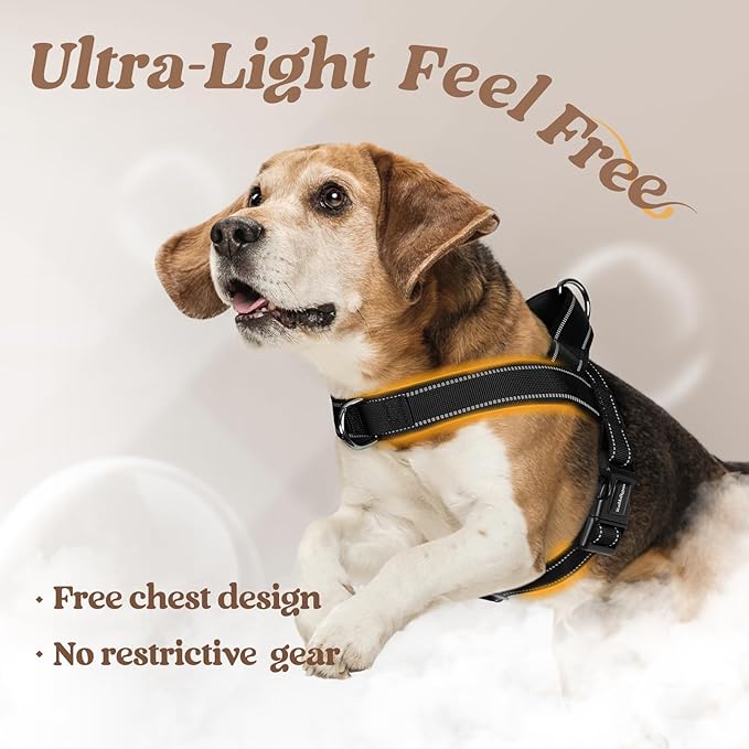 rabbitgoo Dog Harness No Pull, Quick Fit for Small Dogs with Soft Padded Handle, Chest Adjustable Reflective Pet Vest, No Choke Escape Proof for Walking Training, Black S