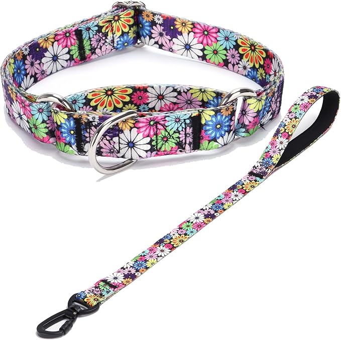Martingale Collar and Leash Set, Premium No Slip Martingale Collar for Dogs Medium Large, Girl Dog Collars Training (NO23, M)