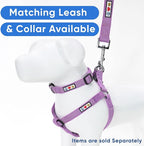 Pawtitas Reflective Step-in Dog Harness – Adjustable No-Pull Vest for Puppies to Seniors, Safe & Comfortable, M Orchid