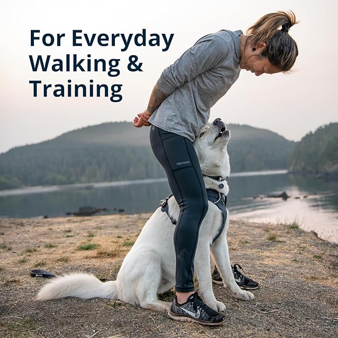 Ruffwear, Front Range Dog Harness, Reflective Soft Padded Everyday Harness with Dual Leash Clips, Adjustable and Lightweight Fit for Training or Walking for All Dogs, Coastal Mountains, X-Small