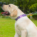 Cymiler Martingale Dog Collar with AirTag Holder, Reflective Nylon Training Collar, Stainless Steel Chain, Heavy Duty Buckle, Limited Slip Collars for Small Medium Large Dogs (Purple, X-Large)