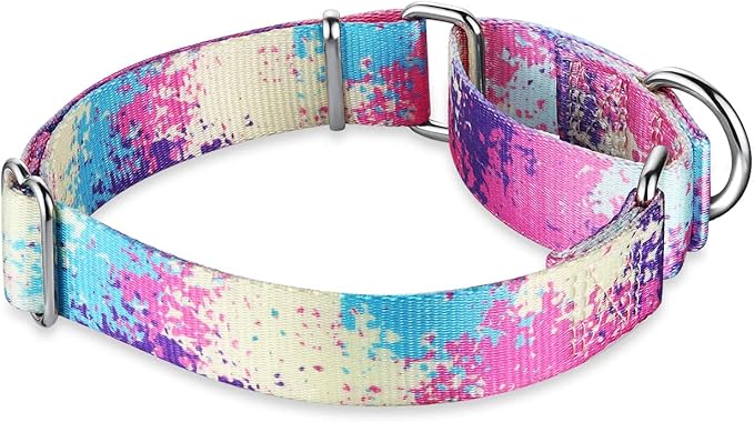 Martingale Dog Collar Escape-Proof for Training - No-Buckle, Durable Polyester Design for Medium Breeds (Profusion Colorful, M)