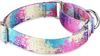 Martingale Collar for Dogs Escape-Proof No-Pull, Durable Polyester Training Collar for Dogs, No-Buckle (Profusion Colorful, Large)
