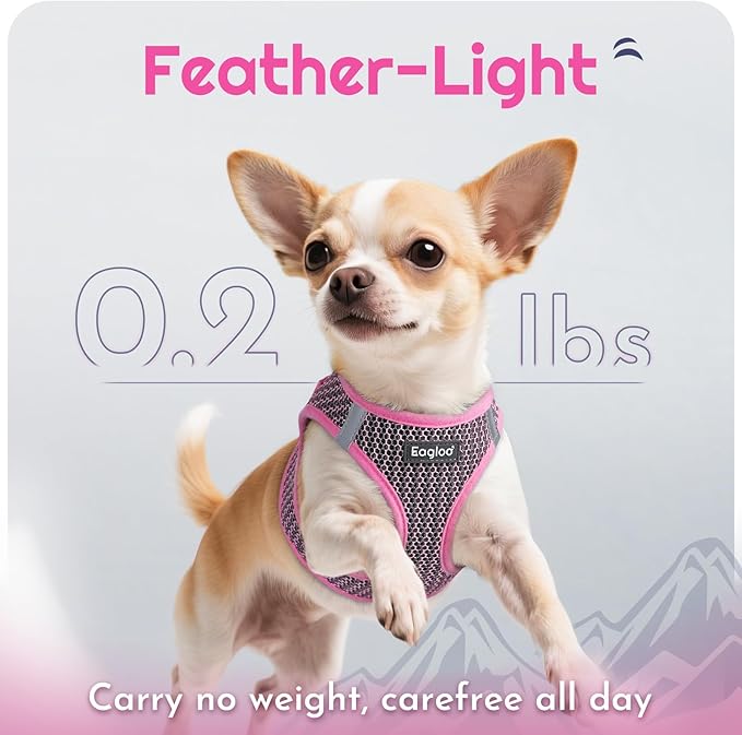 Eagloo Small Dog Harness and Leash Set, Step in Puppy Vest with Breathable Soft Mesh, Walking Reflective Pet Harness for Medium Small Dogs, Pink, L