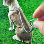 Dog P Snake Chain Chrome Plated Metal Dog Training Choke/Collar-Fully Guaranteed Against Rust Tarnish or Breakage-Recommended for Professional Training (Golden, 4mm * 22")