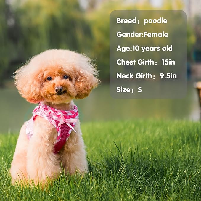 PUPTECK Dog Harness for Puppy and Small Sized Dogs, Step-in No Pull Soft Mesh Vest Harness for Cats Small Pets Walking, Fuschia, New XXS