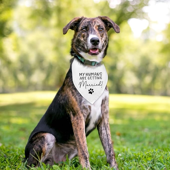 Dog Wedding Engagement Bandana Apparel & Accessories My Humans are Getting Married! Pet Dog Bandana Scarf Wedding Photo Prop Outfit Funny Engagement Party Decorations Gifts