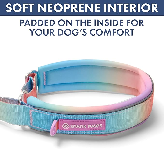 Spark Paws Martingale Dog Collar – Cushioned Slip-On Training Collar, Heavy Duty, Safety-Tested No-Buckle Collar for Medium & Large Dogs - Pastel Icing - D