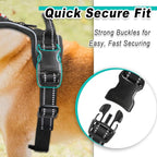 BARKBAY Dog Harness No Pull for Medium Dogs - Adjustable, Reflective, Comfortable, No Choke, Heavy-Duty - Perfect for Outdoor Training, Walking, and Hiking - Strong & Durable - M & Black