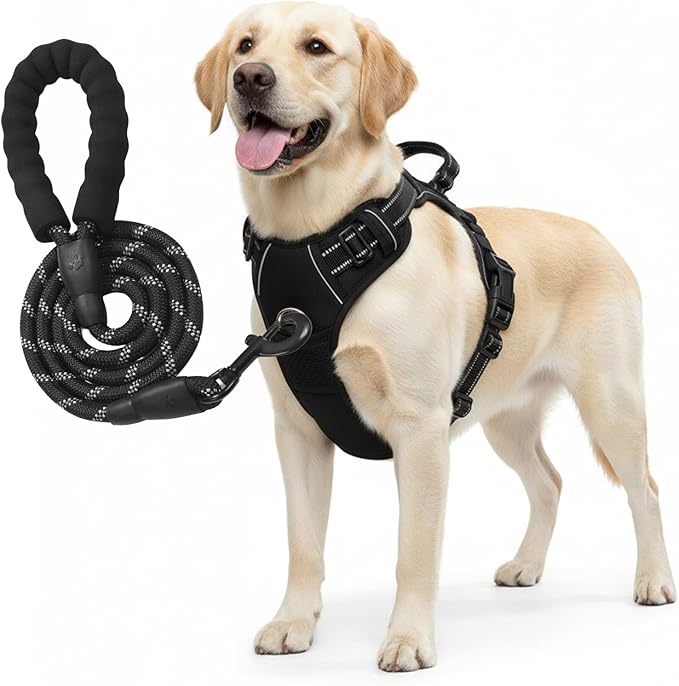 No Pull Dog Harness and Leash Set for Large Dogs – Adjustable Reflective Breathable Soft Padded Easy Control Dog Harness for Training & Walking, Black (Large)
