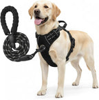 No Pull Dog Harness and Leash Set for Large Dogs – Adjustable Reflective Breathable Soft Padded Easy Control Dog Harness for Training & Walking, Black (Large)