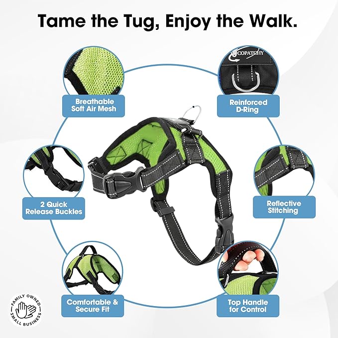 No Pull Reflective Adjustable Dog Harness With Handle- Comfortable Soft All Weather Mesh, Easy On Puppy Harness For Small Medium and Large Dogs (Green) X-Large