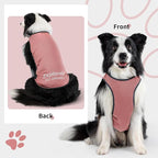 Dog Shirt, Cooling Vest Lightweight Breathable, Dog T-Shirts All-Season UV Protection Pet Clothes Quick Dry Soft Stretchy Pet Shirt Vest for Small Medium Large Dogs (Brier Rose 1PC, X-Large)