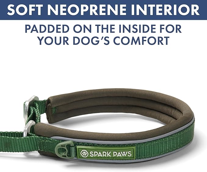 Spark Paws Martingale Dog Collar – Cushioned Slip-On Training Collar, Heavy Duty, Safety-Tested No-Buckle Collar for Medium & Large Dogs - Army Green - C