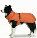Dog Winter Coat, Warm Puffer Jacket with Fur-Safe Buckle & Leash Hole for Cold Weather, Water-Repellent Snow Vest, Breathable Thermal Apparel for Hiking & Active Dogs (Aurantium, Large)