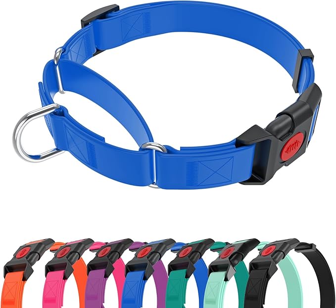 Waterproof Martingale Collar for Dogs,Easy to Clean Dog Collars with Safety Quick Release Buckle,Rubber Collar for Medium Large Dogs Walking Training (Blue, L (19.6-25.9inch))
