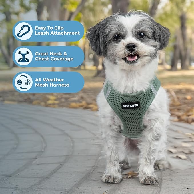 Best Pet Supplies - All Weather Mesh/Plush, Reflective, No Pull Harness for Small, Medium Dogs, Cats - Secure with Hook & Loop Fastener, Buckle, Double D-Rings - Moss Green, L