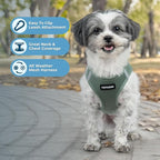 Best Pet Supplies Voyager Step-in Air Harness - All Weather Mesh, Reflective, No Pull Harness for Dogs, Cats - Secure with Hook & Loop Fastener, Buckle, Double D-Rings - Moss Green, XXXS