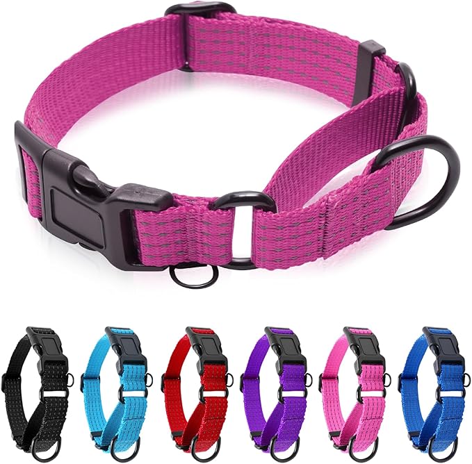 Martingale Collar for Dogs, Reflective Heavy Duty with Quick Release Nylon Buckle, No Pull Training Choker for Walking, Training, Hot Pink, M