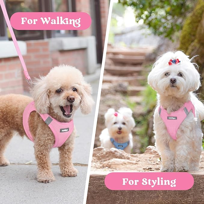rabbitgoo Small Dog Harness, Step-in Soft Mesh Puppy Vest with Safety Buckle, Breathable Reflective Pet Harness for Small Medium Dogs, Light Pink L