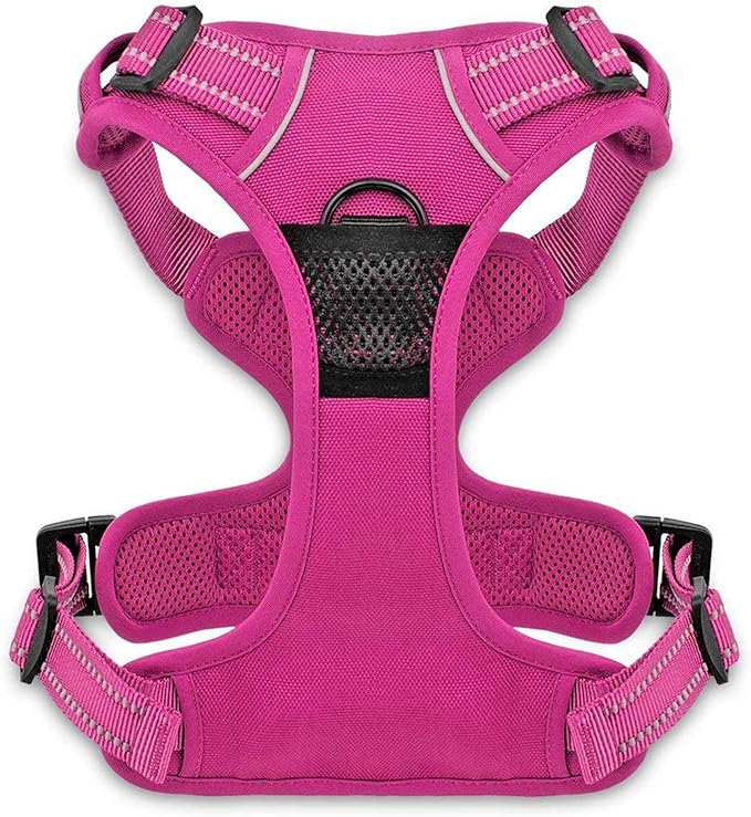 Voyager Dog Harness Dual Leash Attachment No-Pull Control Adjustable Soft but Strong Pet Harness for Medium and Large Dogs with 3M Reflective Technology, Fuchsia Nylon, S (Chest: 16-20")